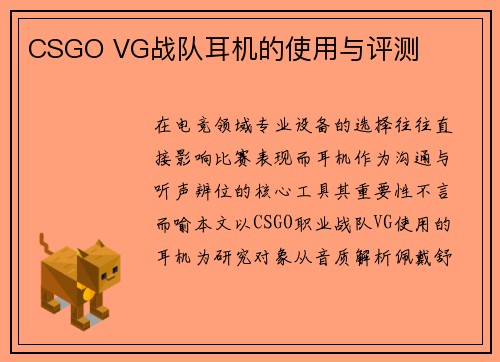 CSGO VG战队耳机的使用与评测